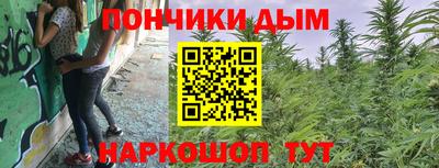 стафф Будённовск