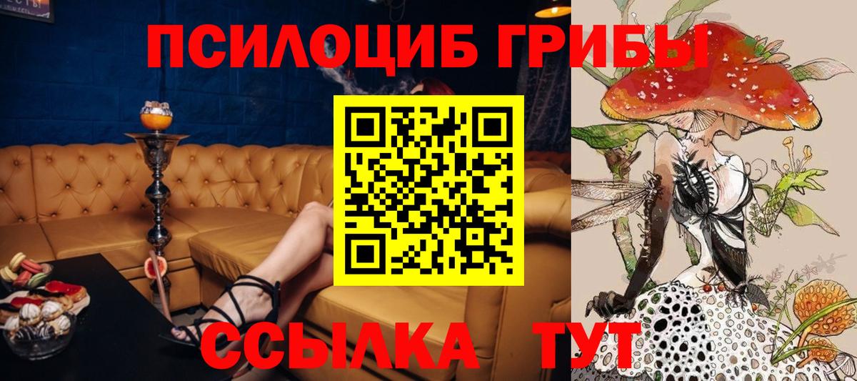 купить закладку  Псилоцибиновые грибы мицелий  Галлюциногенные грибы Psilocybine cubensis  Вход с VPN  Реж 
